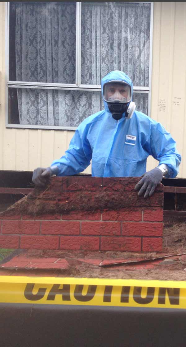 Photo of a CCS worker in blue protective suit holding up a piece of Asbestos